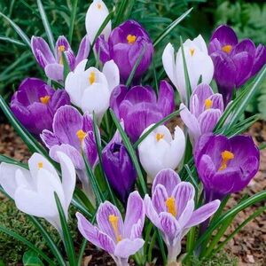 Meet your Posher, Cristina